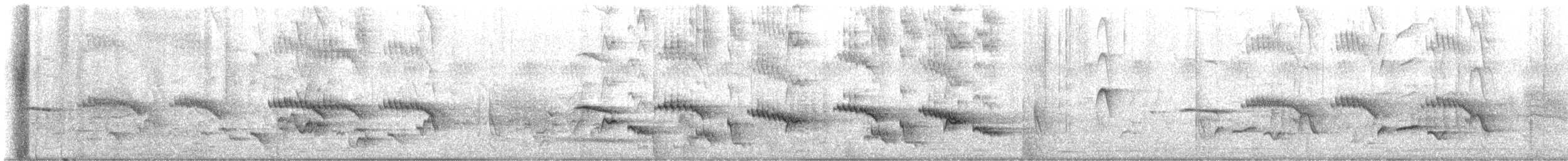 White-browed Robin-Chat - ML612823472