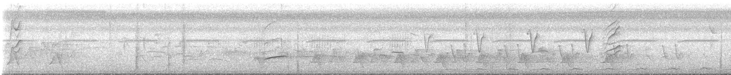 Black-tailed Trogon - ML612824686