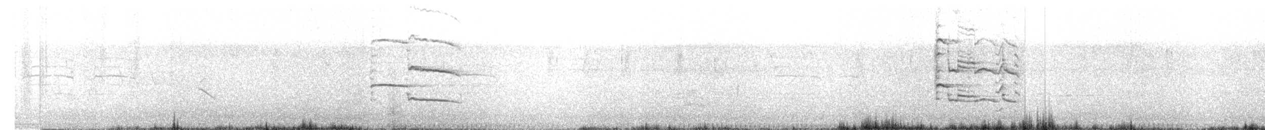 Indian Gray Hornbill - ML612825003
