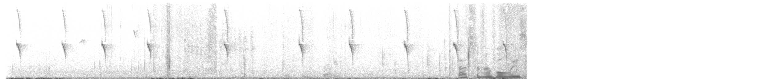 kolibřík skvostný - ML612826827