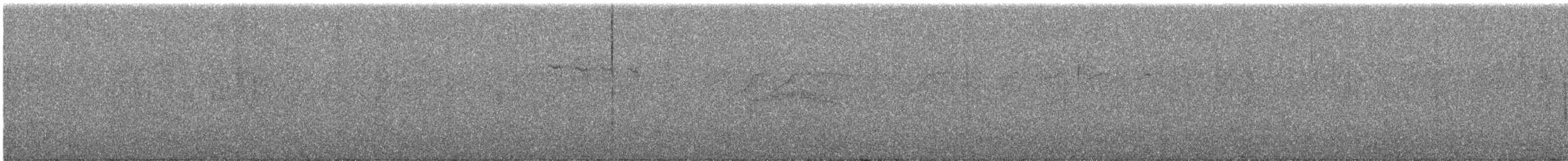Vireo de Hutton (grupo stephensi) - ML612829104