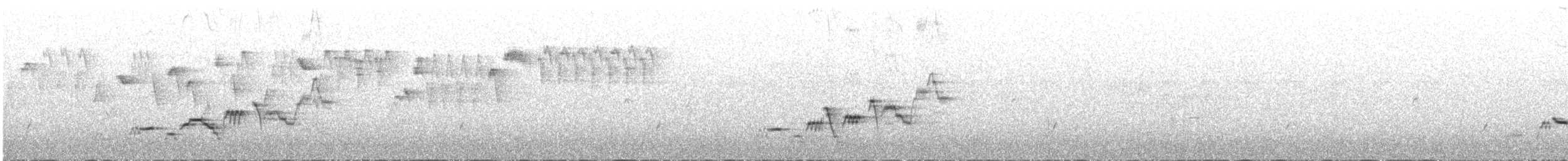 Дрізд-короткодзьоб Cвенсона - ML61282941
