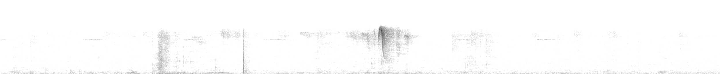 Пестрогорлый колибри-отшельник - ML612829846