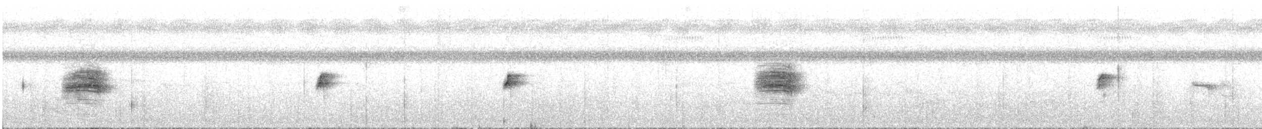 Палауанская широкохвостка - ML612832362