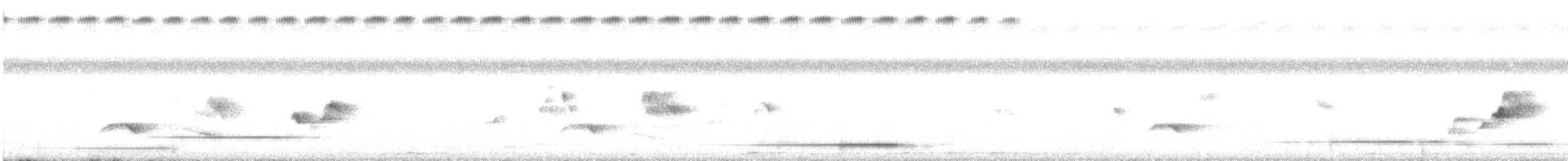 Палауанская широкохвостка - ML612832614
