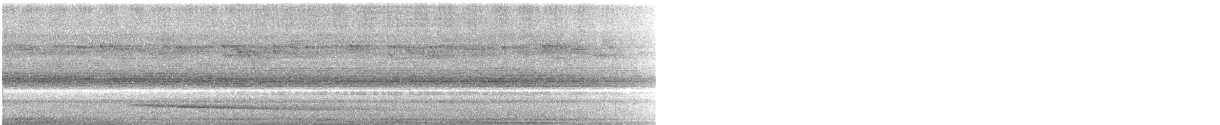 Сипуха темно-бура (підвид tenebricosa/arfaki) - ML612839254