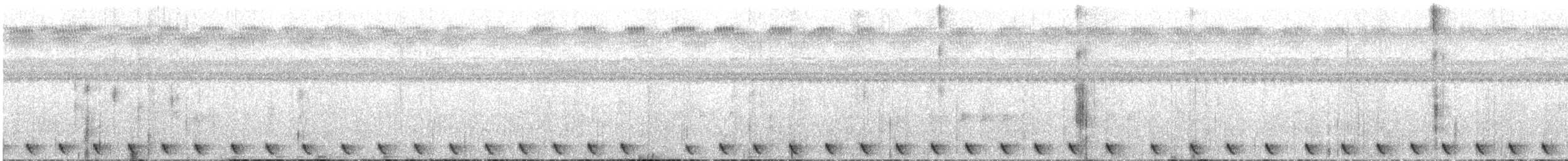 Palaunachtschwalbe - ML612841376