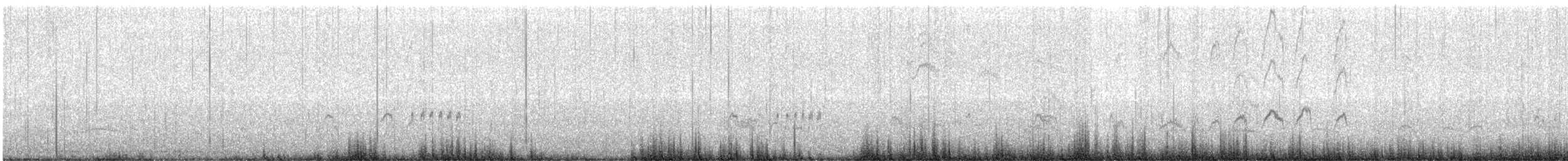 Bécasseau variable - ML612842752