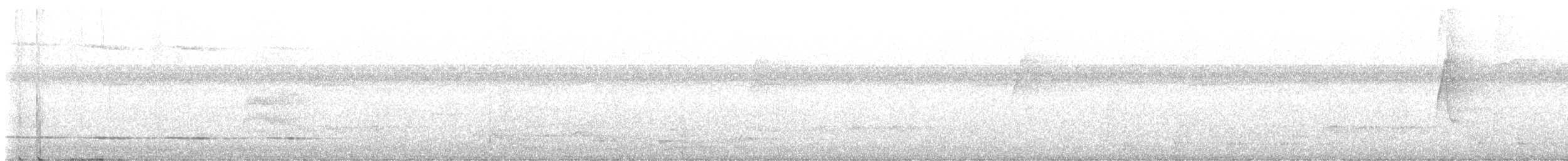 Очковый торорой - ML612843068