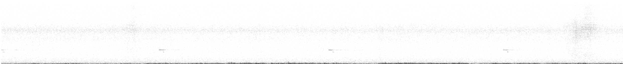 Townsend's Solitaire - ML612844764