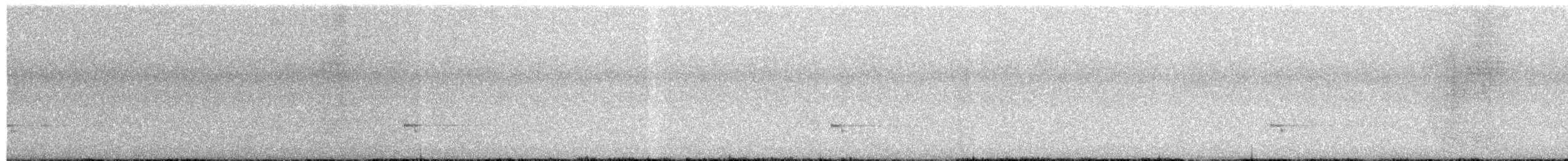 Townsend's Solitaire - ML612844792