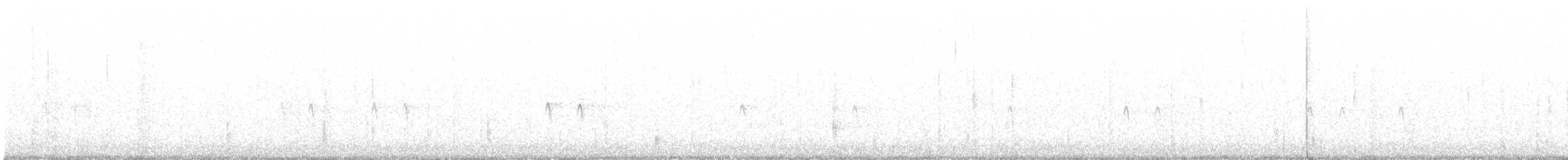 Шишкар ялиновий - ML612850339