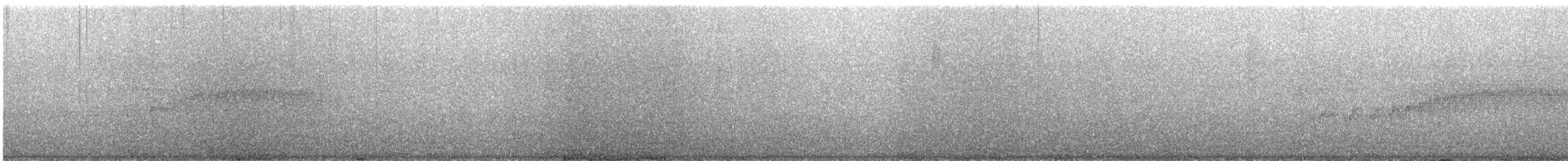 Трясохвіст темночеревий - ML612850428