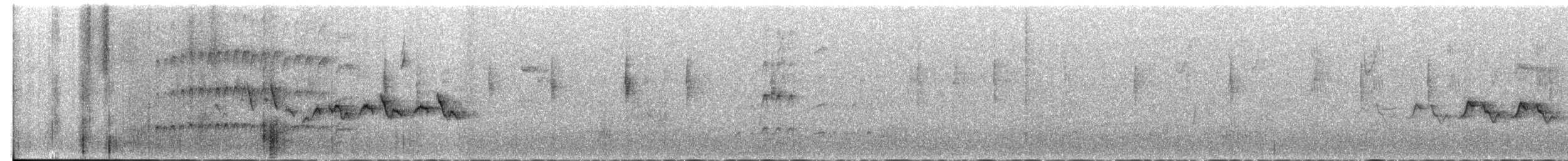 hvitvingehvitstjert - ML612854144