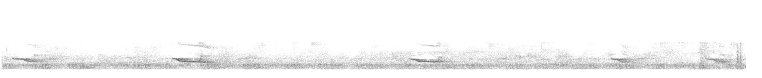 Silver-breasted Broadbill - ML612855162