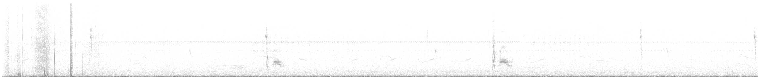Серогрудый тиранн - ML612856576