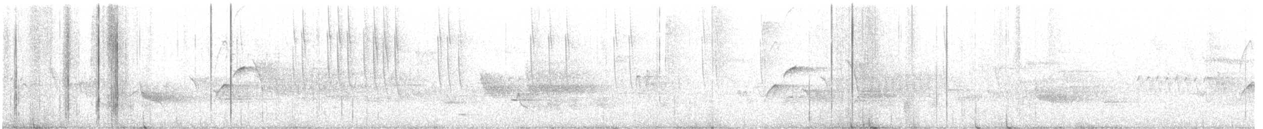 Broad-tailed Hummingbird - ML612860767