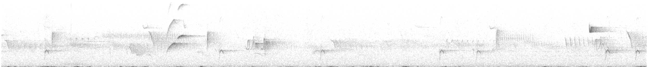 Buff-breasted Flycatcher - ML612860777