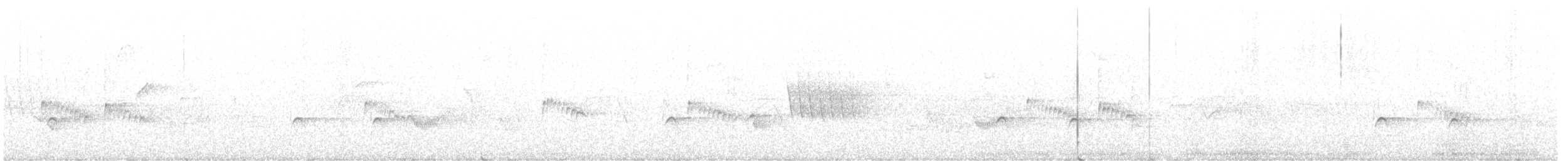 Plumbeous Vireo - ML612861244