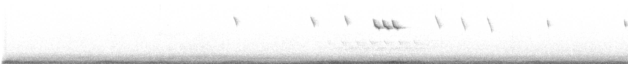 雑種 エボシガラ ｘ クロエボシガラ - ML612863301