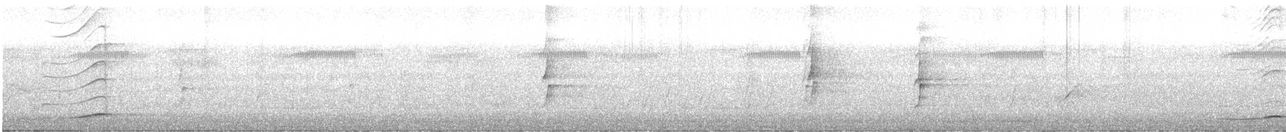 Pazifikkoel (cyanocephalus/subcyanocephalus) - ML612864119