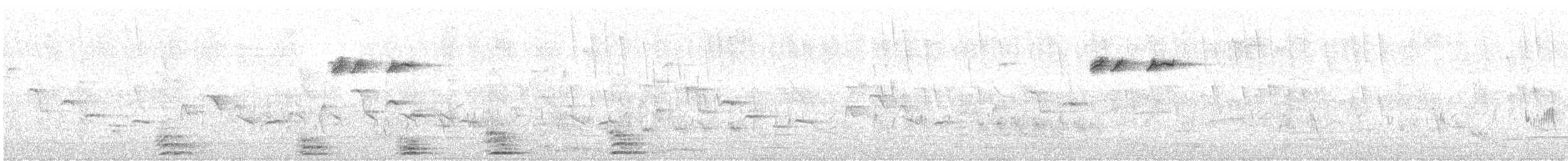 guavapapegøye - ML612866362