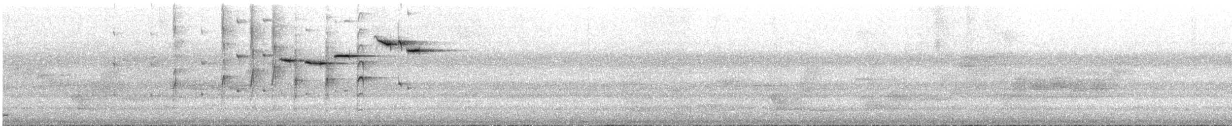 Віялохвістка сиза (підвид keasti) - ML612868609