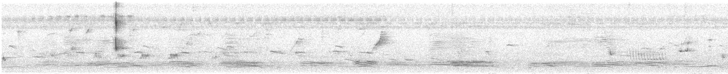 White-throated Kingfisher - ML612869475