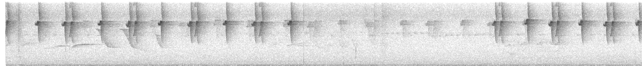 Солнечный колибри-отшельник - ML612872310