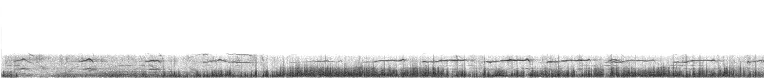 svarthalespove (limosa) - ML612872761