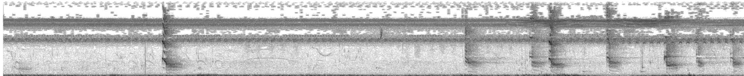 אנפית מנגרובים - ML612875201