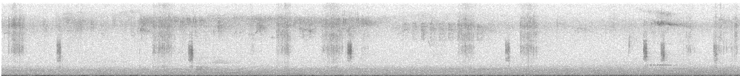 Northern House Wren - ML612880346