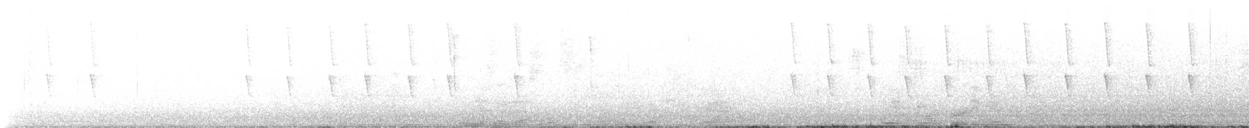 kolibřík bělouchý - ML612887306
