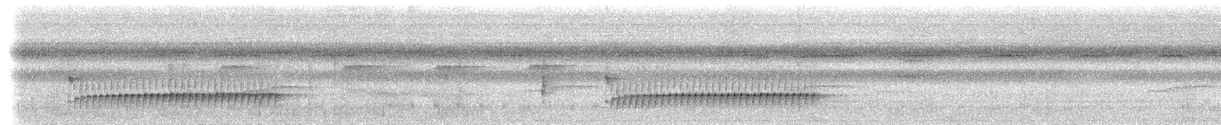 Schwarzschwanz-Degenschnäbler [melanurus-Gruppe] - ML612891529