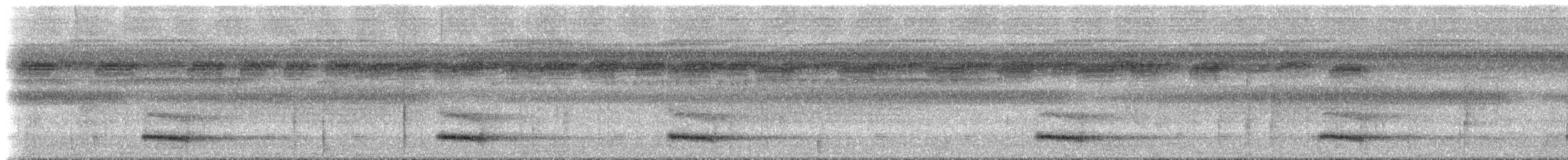 Тукан чорнодзьобий (підвид culminatus/pintoi) - ML612891730