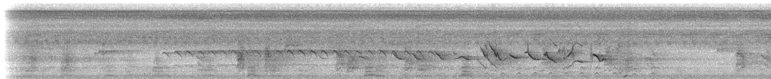 Kestane Karınlı Koca Tohumcul - ML612891769