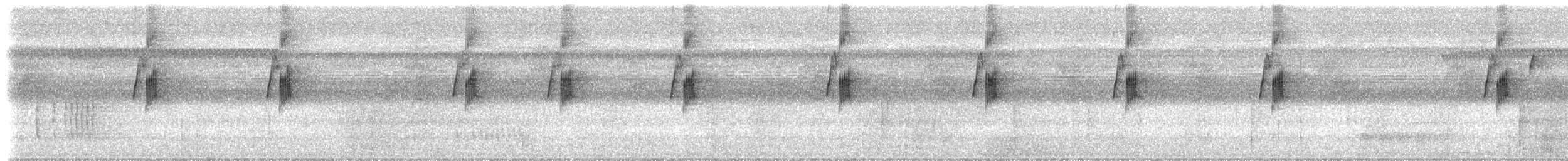 Большеклювый колибри-отшельник [группа moorei] - ML612892093