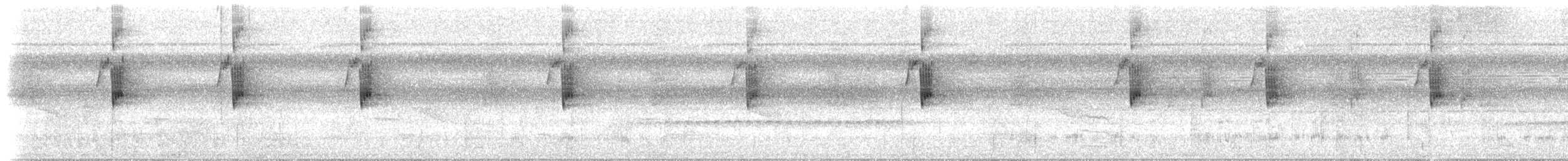 Большеклювый колибри-отшельник [группа moorei] - ML612892149