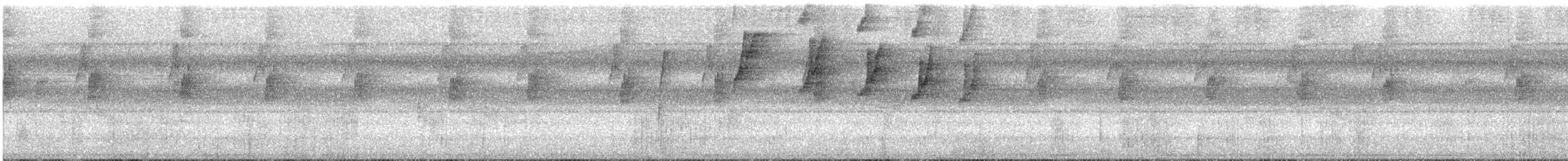 Большеклювый колибри-отшельник [группа moorei] - ML612892175