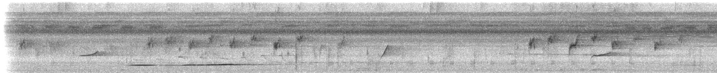 amazonspurvepapegøye (sclateri) - ML612892311