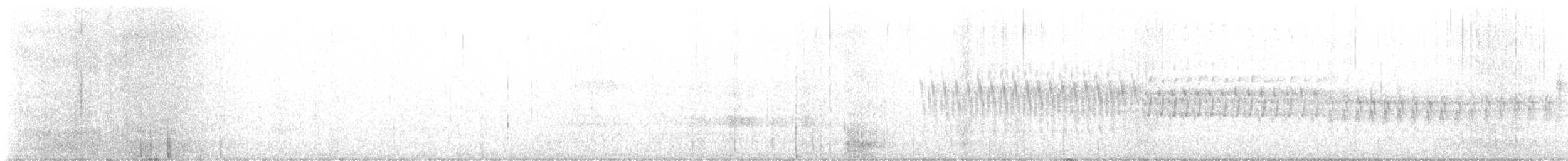 křivka bělokřídlá - ML612893834