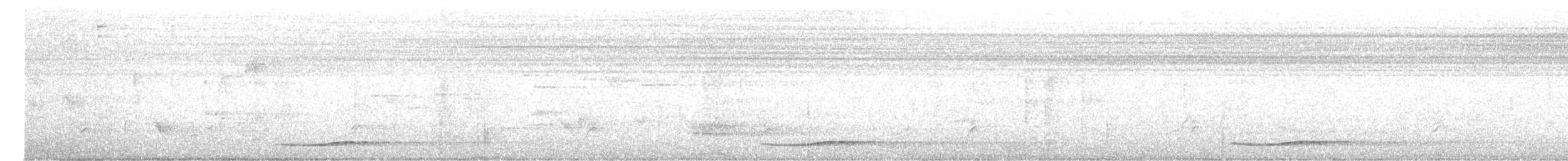 Тихоокеанский коэль - ML612897275