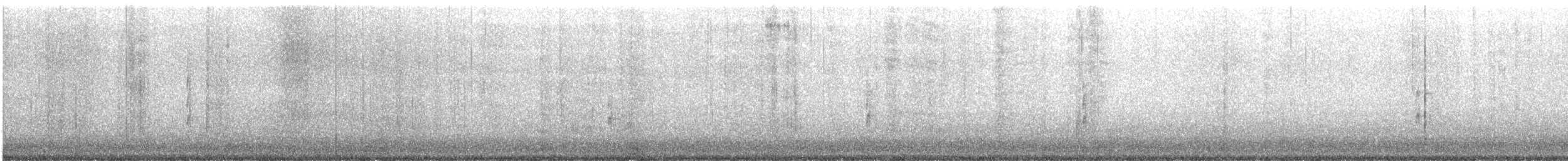 Schmalschnabel-Königstyrann - ML612897350