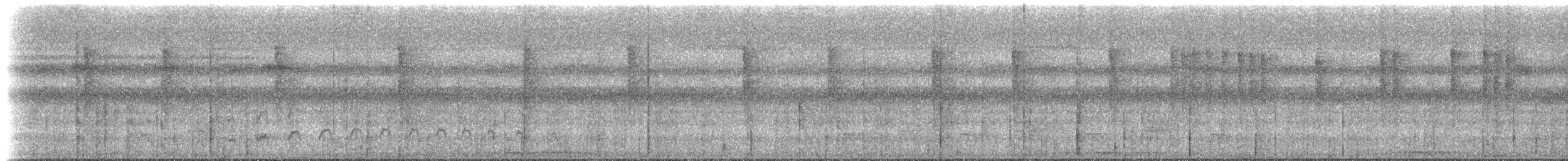 Серогрудый саблекрыл (obscurus) - ML612901872