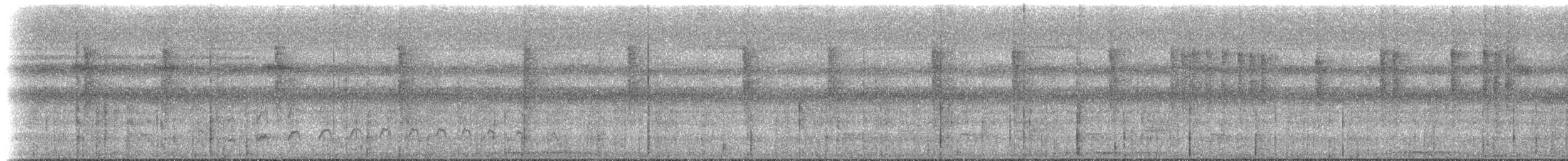 Gray-breasted Sabrewing (obscurus) - ML612901872