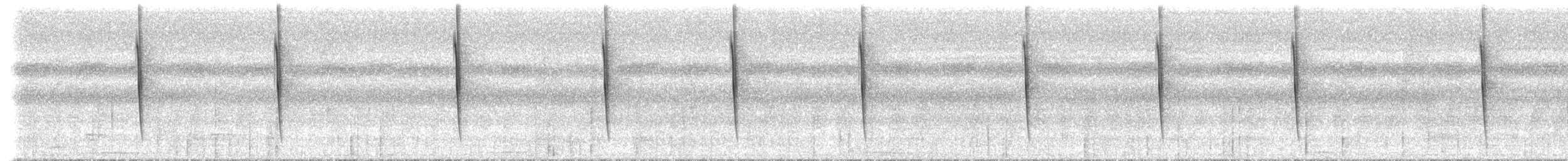 Серогрудый саблекрыл (obscurus) - ML612901905