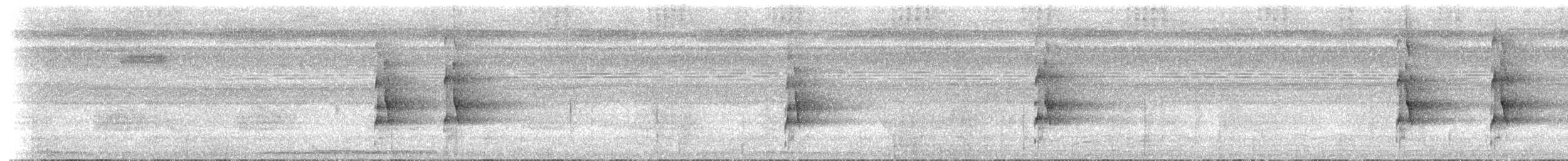 Bindenarassari - ML612904623