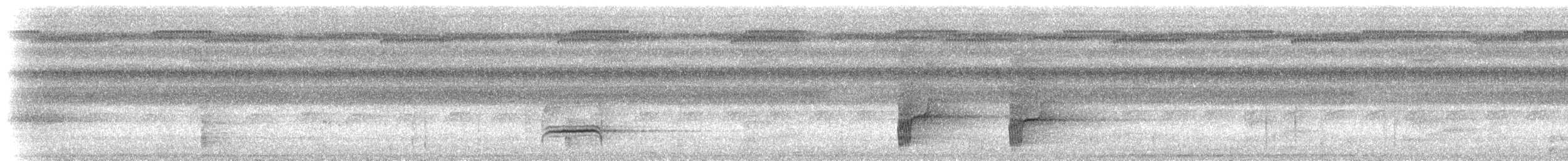 blåkronemanakin (coronata gr.) - ML612904755