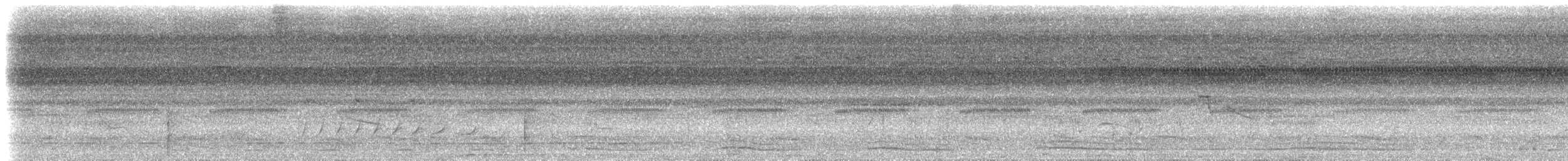 Plumbeous Kite - ML612905229