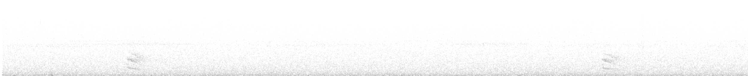 Австралийский совиный козодой - ML612916377
